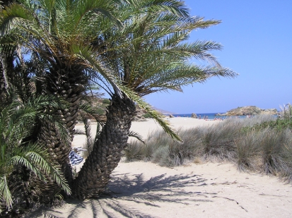 Vacances Crète 2008 -212.JPG